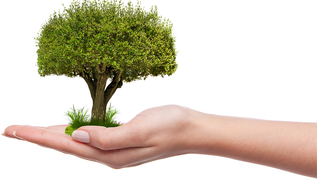 Природа как ключ к внутреннему диалогу