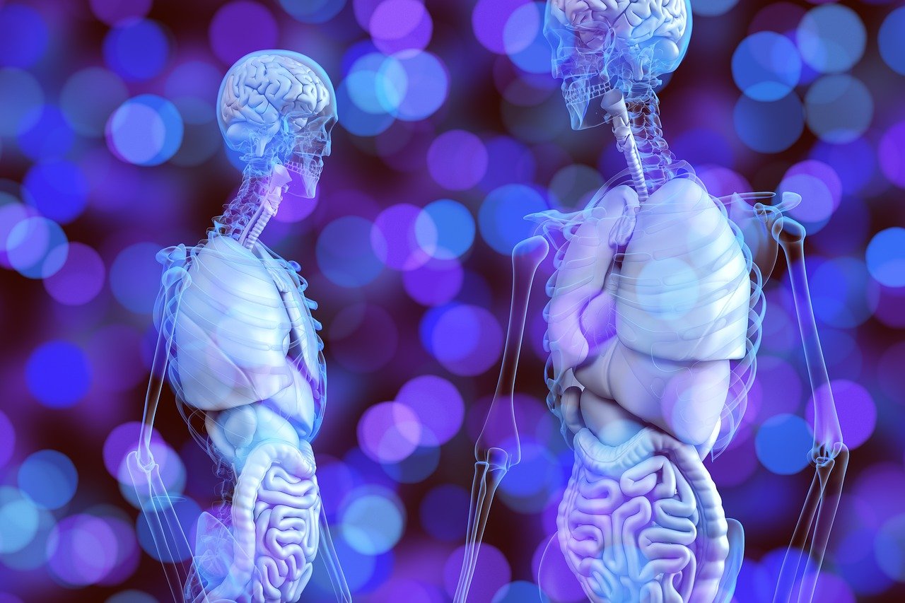 Почему забота о здоровье важна для долговечности?