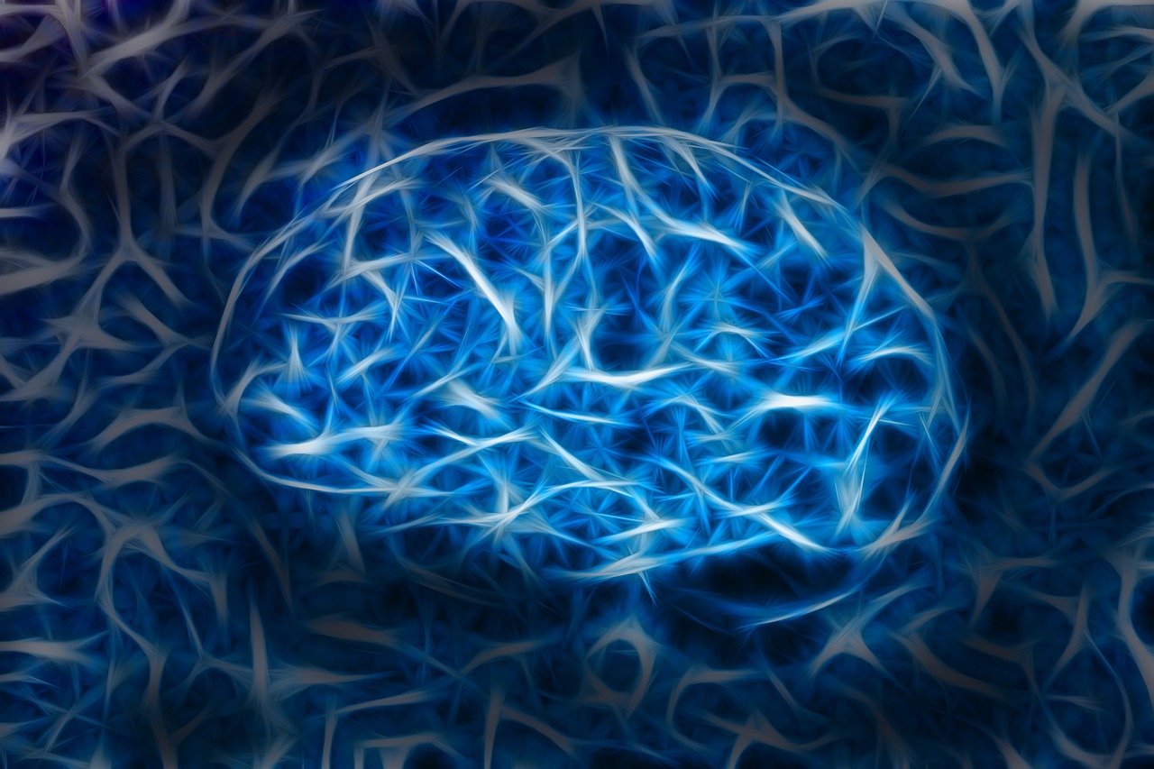 Как питание влияет на здоровье мозга? Как питание влияет на здоровье мозга?