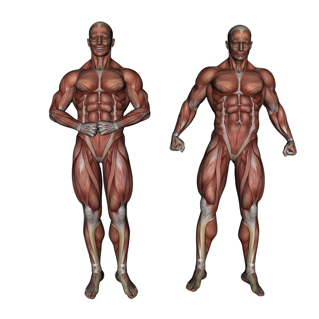 Почему стремление к идеальному телосложению может быть иллюзией?