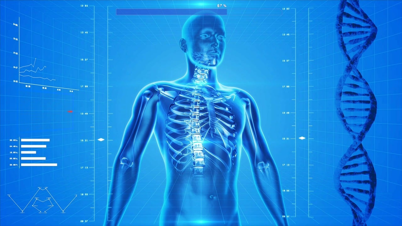 Что такое тесты DEXA и как они помогают вам поддерживать здоровье?