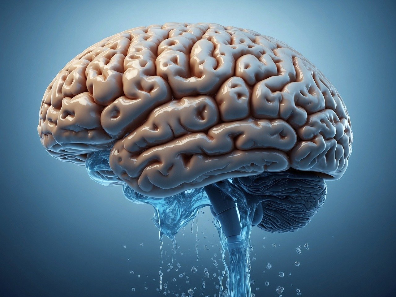 Как заботиться о своем мозге через питание?